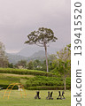 Mist clings to the rolling mountains as a sprawling emerald lawn unfolds under a heavy sky. Here, dark sculptures and a solitary golden climbing frame stand in quiet contrast to the lush surroundings. 139415520