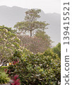 In the soft, diffused light of a hazy afternoon, layers of vibrant flora unfurl toward a distant, mist-shrouded mountain range. Fragrant frangipani blossoms and deep crimson petals peek through a 139415521