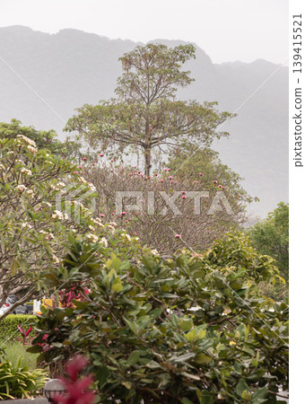 In the soft, diffused light of a hazy afternoon, layers of vibrant flora unfurl toward a distant, mist-shrouded mountain range. Fragrant frangipani blossoms and deep crimson petals peek through a In the soft, diffused light of a hazy afternoon, layers of vibrant flora unfurl toward a distant, mist-shrouded mountain range. Fragrant frangipani blossoms and deep crimson petals peek through a 139415521