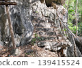 A simple, rusted handrail guides the eye up weathered stone steps, which surge from the raw cliffside into a dark rocky crevice. Beneath the forest's leafy ceiling, dappled light plays across dry 139415524