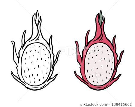 Dragon fruit black outline and color version Dragon fruit black outline and color version 139415661