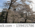 櫻花微風公園 139415786