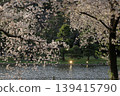 櫻花微風公園 139415790