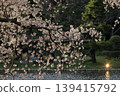 櫻花微風公園 139415792
