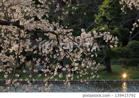 櫻花微風公園 櫻花微風公園 139415792