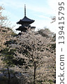 櫻花微風公園 139415795