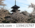 櫻花微風公園 139415797