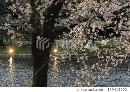 櫻花微風公園 櫻花微風公園 139415802