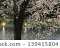 櫻花微風公園 139415804