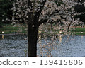 櫻花微風公園 139415806