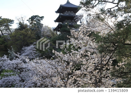 櫻花微風公園 櫻花微風公園 139415809