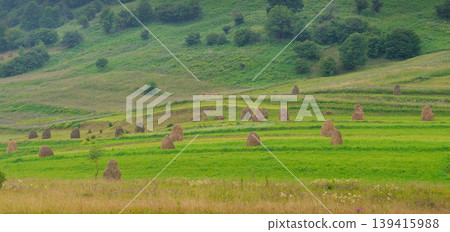 Traditional haystacks on a green terraced hillside in the countryside. 139415988