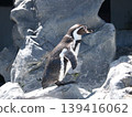 Penguin 139416062