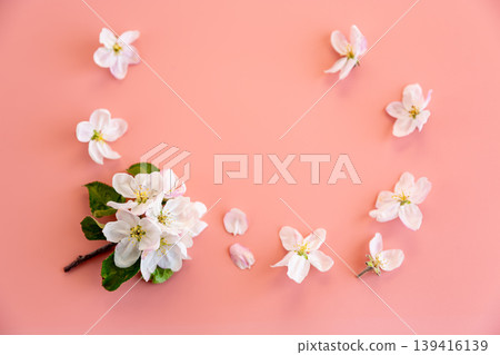 fresh spring flowers apple blossom isolated on pastel pink background fresh spring flowers apple blossom isolated on pastel pink background 139416139