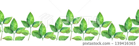 Green rosehip branch, watercolor seamless border. Hand drawn illustration of wildflowers and plants. Fresh, vibrant foliage for packaging tea, cosmetics, perfumes, and cards. Green rosehip branch, watercolor seamless border. Hand drawn illustration of wildflowers and plants. Fresh, vibrant foliage for packaging tea, cosmetics, perfumes, and cards. 139416365