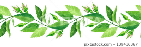Green rosehip branch, watercolor seamless border. Hand drawn plant illustration. Fresh, vibrant foliage for packaging tea, cosmetics, perfumes, and cards. Green rosehip branch, watercolor seamless border. Hand drawn plant illustration. Fresh, vibrant foliage for packaging tea, cosmetics, perfumes, and cards. 139416367