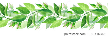 Green rosehip branch with buds, watercolor seamless border. Hand drawn plant illustration. Fresh, vibrant foliage for packaging tea, cosmetics, perfumes, and cards. Green rosehip branch with buds, watercolor seamless border. Hand drawn plant illustration. Fresh, vibrant foliage for packaging tea, cosmetics, perfumes, and cards. 139416368