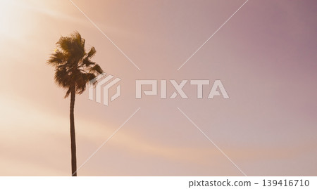 Lone palm silhouette stands against a soft pink sunset sky. Pastel gradient clouds and tropical leaves create a dreamy minimalist background for luxury summer branding Lone palm silhouette stands against a soft pink sunset sky. Pastel gradient clouds and tropical leaves create a dreamy minimalist background for luxury summer branding 139416710