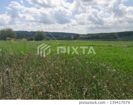 Fluffy white clouds over landscape on a sunny day 139417079