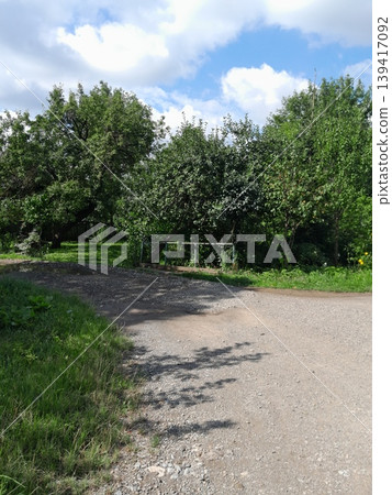 Tree-Lined Sidewalk in Park Area 139417092