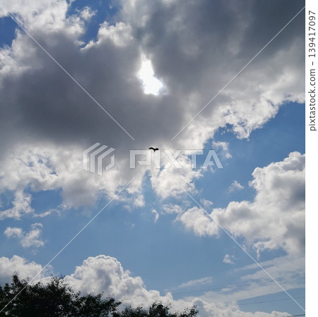 Fluffy white clouds over forest landscape on a sunny day Fluffy white clouds over forest landscape on a sunny day 139417097