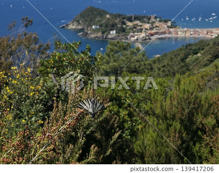 sestri levante village view from punta manara trail sestri levante village view from punta manara trail 139417206