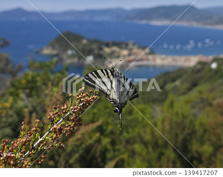 sestri levante village view from punta manara trail 139417207