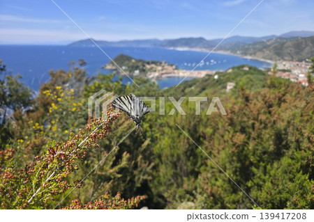 sestri levante village view from punta manara trail sestri levante village view from punta manara trail 139417208