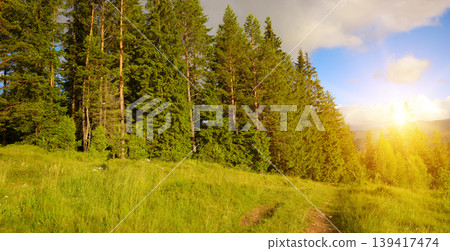 Warm Evening Glow Across Mountainous Woodland Warm Evening Glow Across Mountainous Woodland 139417474