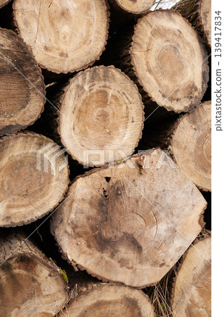 Pile of wood logs, closeup of clean cut of chopped firewood logs. Natural wooden background 139417834