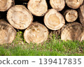 Pile of wood logs, closeup of clean cut of chopped firewood logs. Natural wooden background 139417835