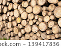 Pile of wood logs, closeup of clean cut of chopped firewood logs. Natural wooden background 139417836