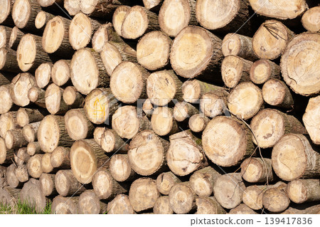 Pile of wood logs, closeup of clean cut of chopped firewood logs. Natural wooden background Pile of wood logs, closeup of clean cut of chopped firewood logs. Natural wooden background 139417836