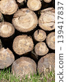 Pile of wood logs, closeup of clean cut of chopped firewood logs. Natural wooden background 139417837