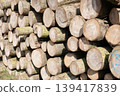 Pile of wood logs, closeup of clean cut of chopped firewood logs. Natural wooden background 139417839