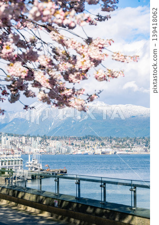 Cherry blossoms and snow-capped mountains in Vancouver Cherry blossoms and snow-capped mountains in Vancouver 139418062