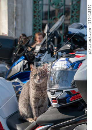 Cat sitting on parked motorcycle seat on Istanbul street with helmets and bikes in background, daylight urban scene. Urban animal, city life, street detail, transport context 139418322