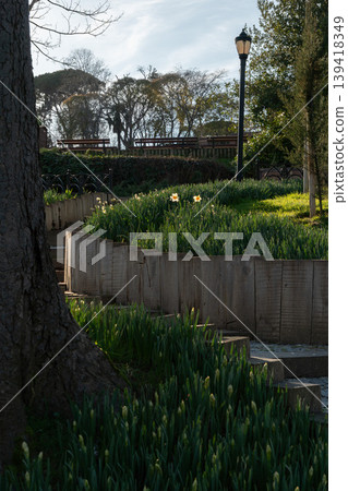 Garden pathway with wooden edging and green plants in Emirgan Park in Istanbul, sunlight and trees in background, calm outdoor composition. Park landscaping, urban nature, outdoor recreation Garden pathway with wooden edging and green plants in Emirgan Park in Istanbul, sunlight and trees in background, calm outdoor composition. Park landscaping, urban nature, outdoor recreation 139418349