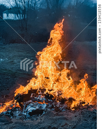 Bright flames rising from a controlled fire in a rural outdoor setting during twilight hours Bright flames rising from a controlled fire in a rural outdoor setting during twilight hours 139418556