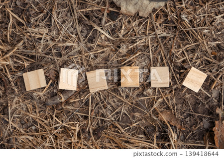 Arrangement of Wooden Blocks on Natural Ground 139418644