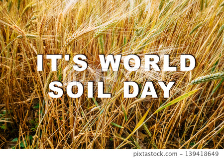 Celebrating World Soil Day and Its Importance Celebrating World Soil Day and Its Importance 139418649