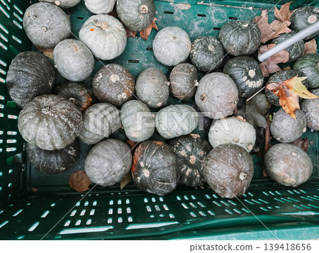 Crate full of squashed pumpkins Crate full of squashed pumpkins 139418656