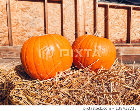 Two orange pumpkins are sitting on a hay bale Two orange pumpkins are sitting on a hay bale 139418733
