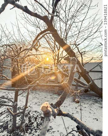 Frost-covered branches glisten in the sunlight as the sun rises behind a winter landscape, creating a serene and tranquil atmosphere in nature Frost-covered branches glisten in the sunlight as the sun rises behind a winter landscape, creating a serene and tranquil atmosphere in nature 139418821