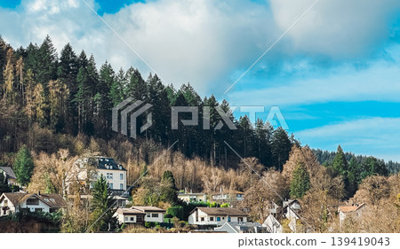 Scenic view of residential houses nestled among lush green trees under a bright blue sky Scenic view of residential houses nestled among lush green trees under a bright blue sky 139419043