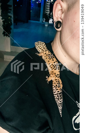 Colorful leopard gecko resting on shoulder of individual, showcasing unique patterns and textures in a cozy indoor environment with soft lighting 139419049