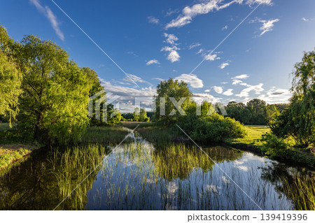 Tranquil spring lake landscape green trees grass meadow summer nature outdoors park background peaceful water reflection scenic woodland environment serene riverside vista bright scenery Tranquil spring lake landscape green trees grass meadow summer nature outdoors park background peaceful water reflection scenic woodland environment serene riverside vista bright scenery 139419396