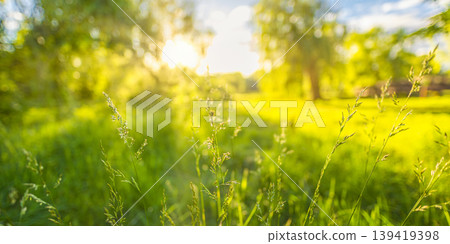 Beautiful green grass closeup serene meadow peaceful nature spring summer natural landscape background bright sunshine outdoor garden pasture wilderness scenic atmosphere vista environment Beautiful green grass closeup serene meadow peaceful nature spring summer natural landscape background bright sunshine outdoor garden pasture wilderness scenic atmosphere vista environment 139419398