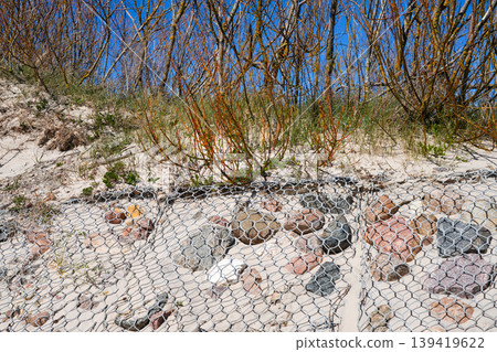 Coastal dune erosion control with wire mesh and stones stabilizing sandy slope with vegetation Coastal dune erosion control with wire mesh and stones stabilizing sandy slope with vegetation 139419622