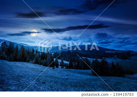 mountain scenery with coniferous forest at night. full moon over countryside landscape with grassy fields and rolling hills. springtime rural area under cloudy sky. mysterious outdoor adventure mountain scenery with coniferous forest at night. full moon over countryside landscape with grassy fields and rolling hills. springtime rural area under cloudy sky. mysterious outdoor adventure 139419783